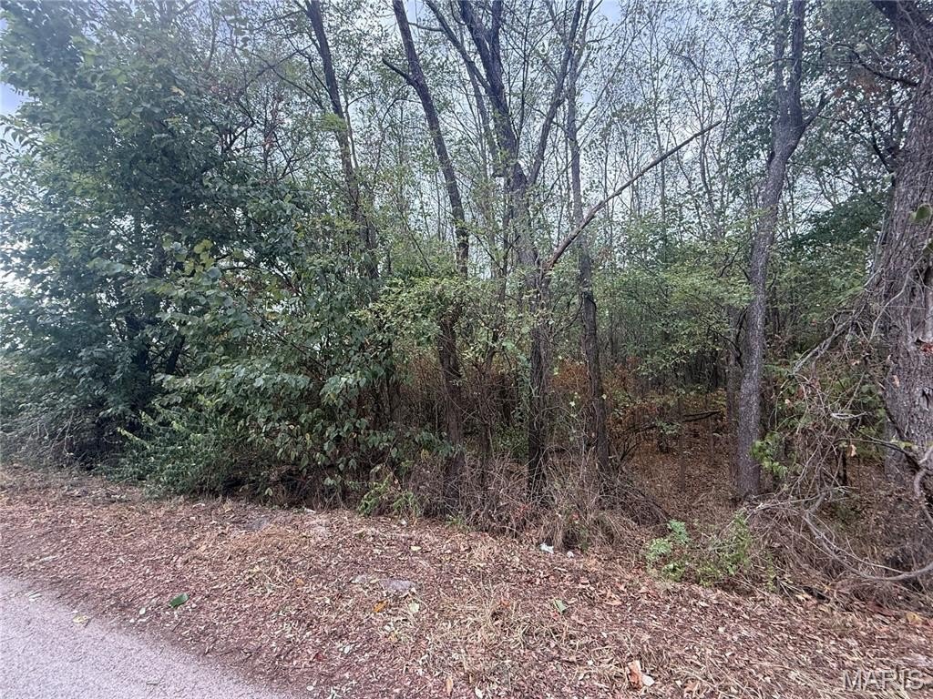 Picture 6