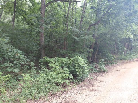 LAND - Highland, AR