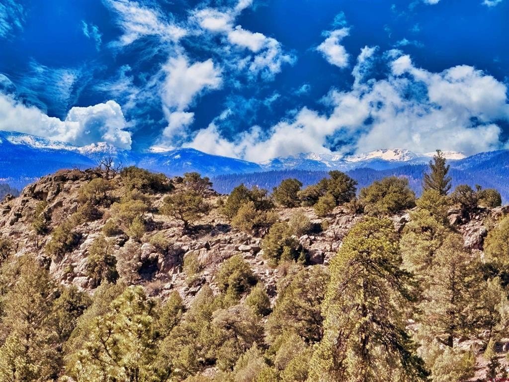 Picture 17