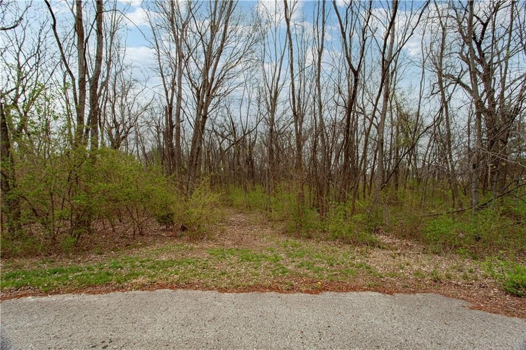 Picture 4