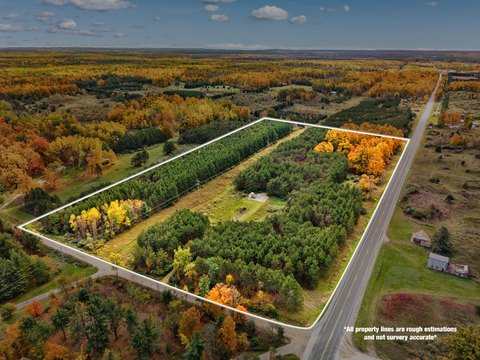 Wooded Hunting Land