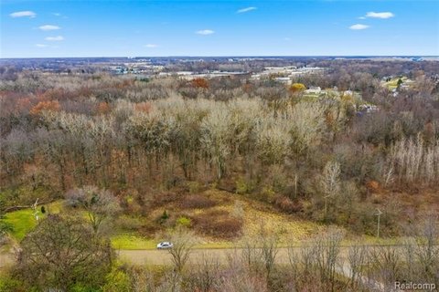 Wooded Land Parcel in Romulus