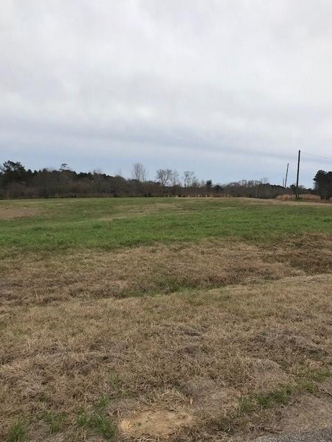 Residential Lot in Oak Haven