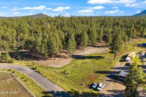 Land, Alpine, AZ