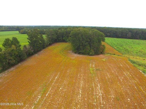 Wooded Agricultural Land