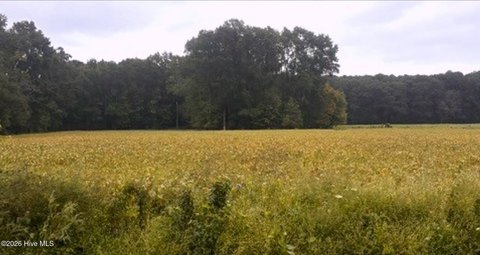 Wooded Agricultural Land