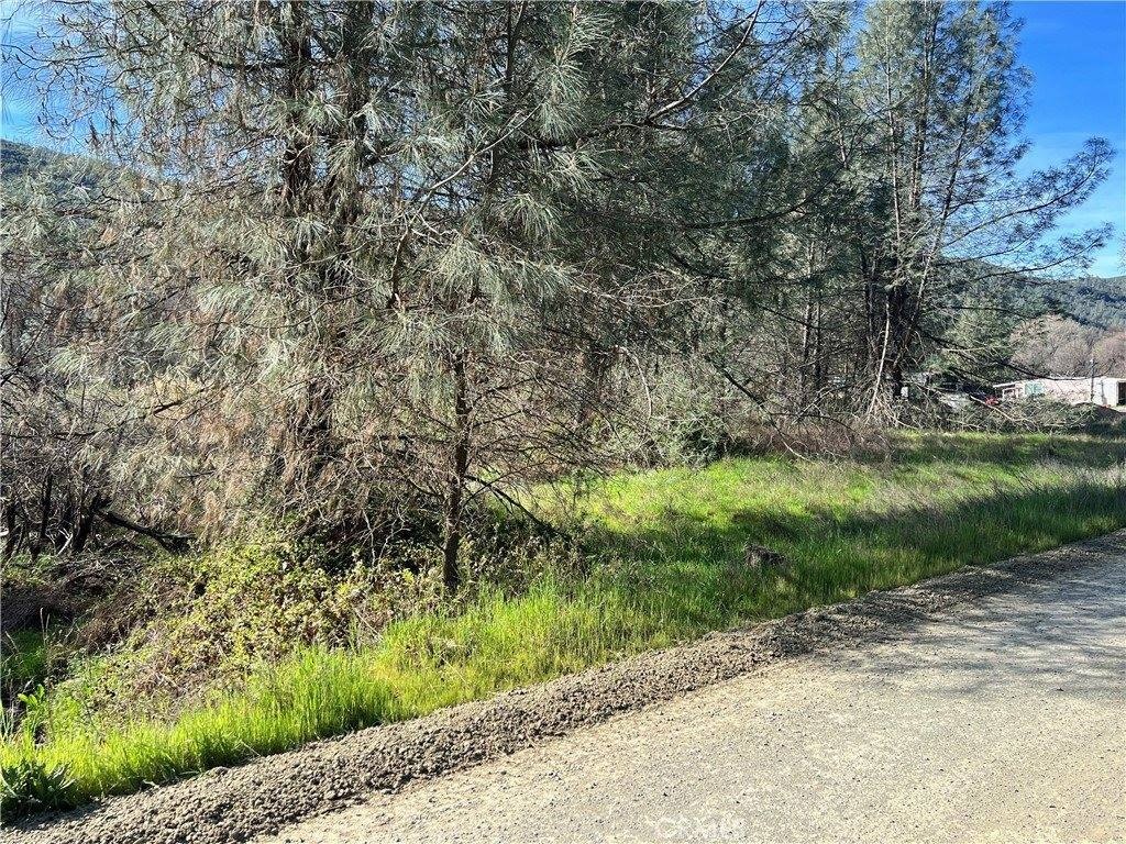 Picture 17