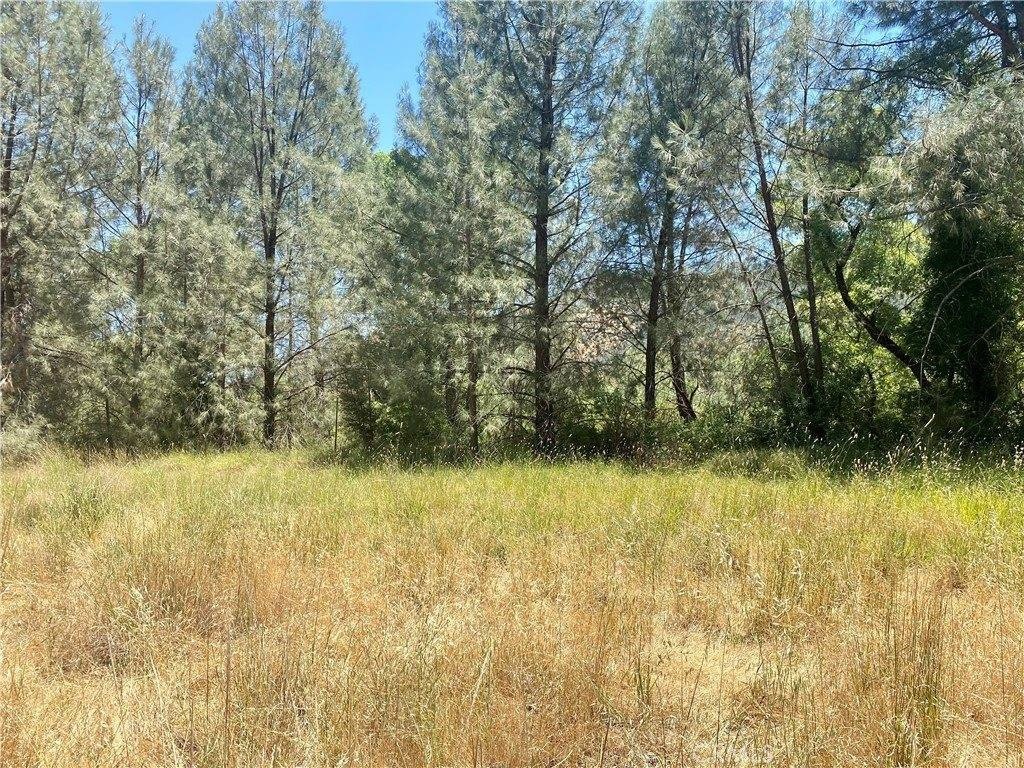 Picture 23
