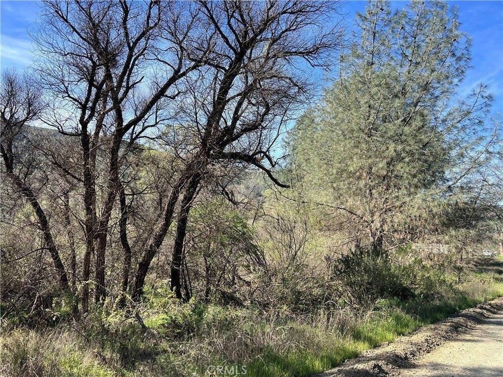 Picture 13