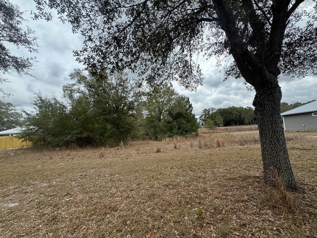 Picture 3