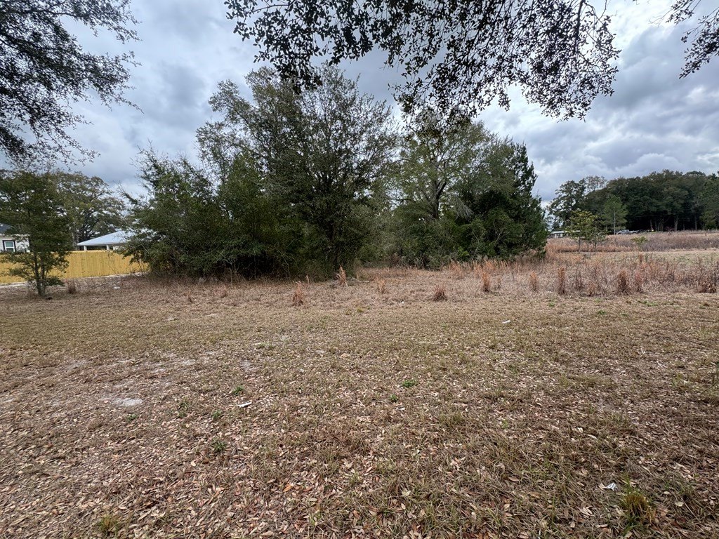 Picture 2