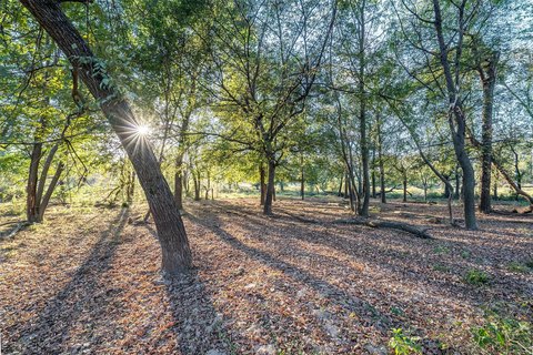 Fenced Recreational Ranch Tract