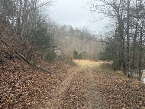 Burkesville Hunting Land with Stream