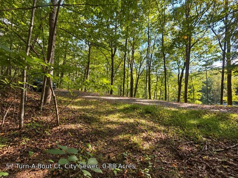 Land, Waynesville, NC