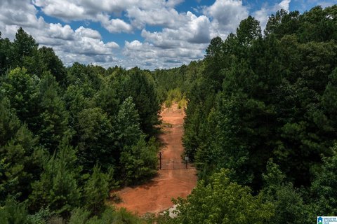 CHELSEA, AL Acreage