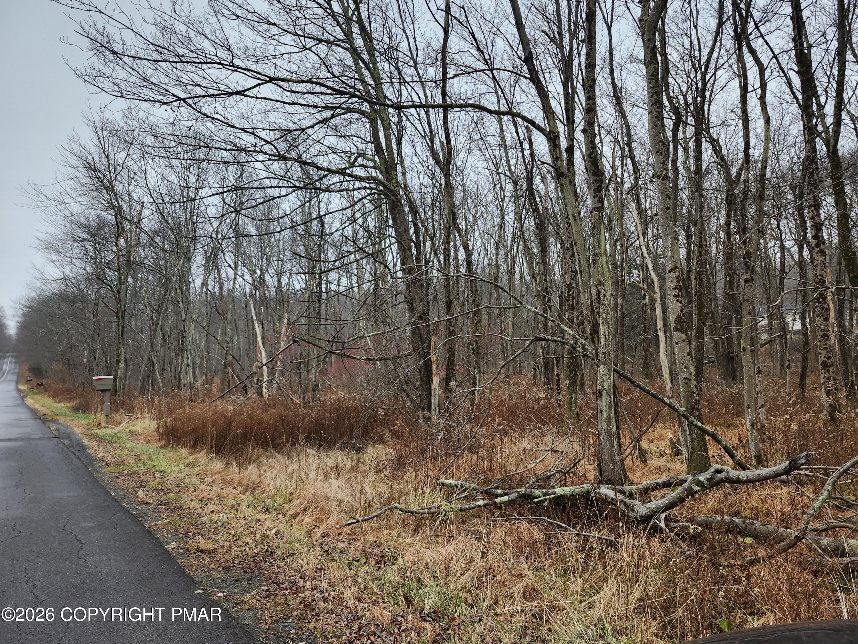 7.78 Acre Wooded Land Parcel