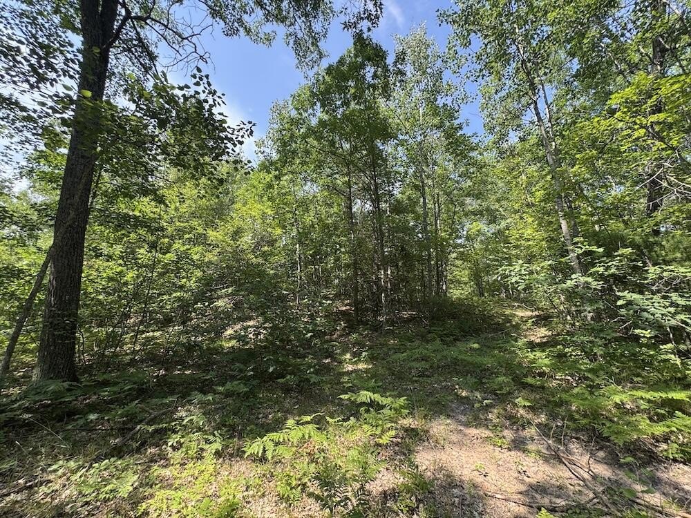 Picture 21