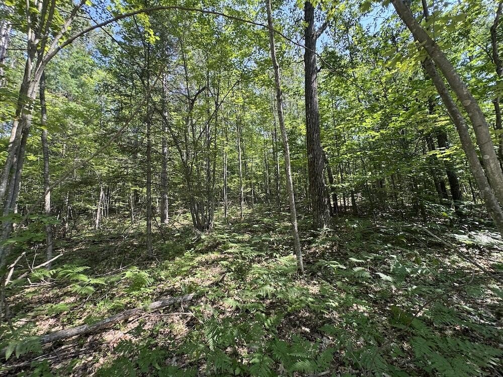 Picture 23