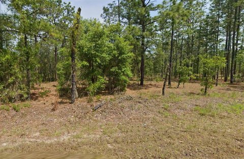 Land, DUNNELLON, FL