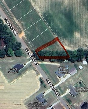 Residential Land in Newton, AL