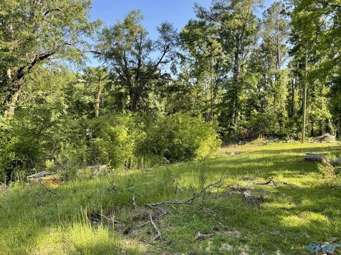 Land, BIRMINGHAM, AL