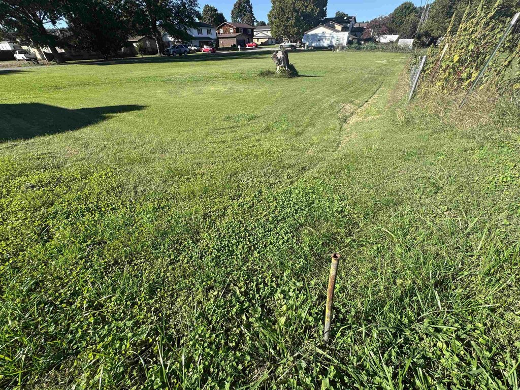 Picture 16