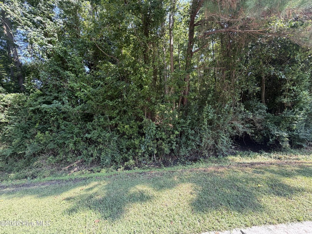 Picture 4