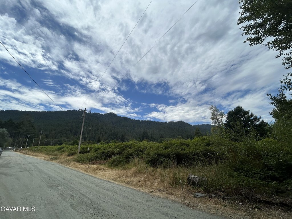 Picture 13