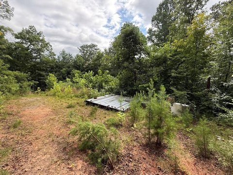 LAND - Qualla, NC
