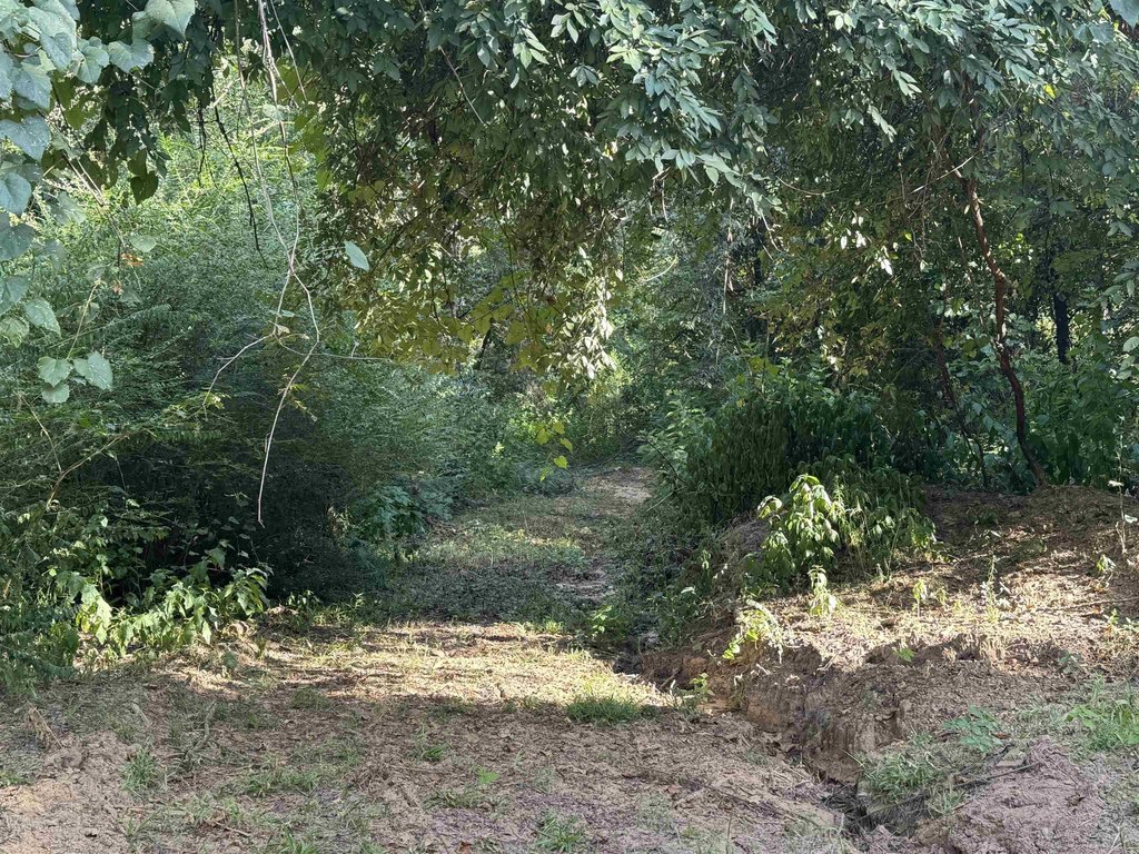 Picture 2