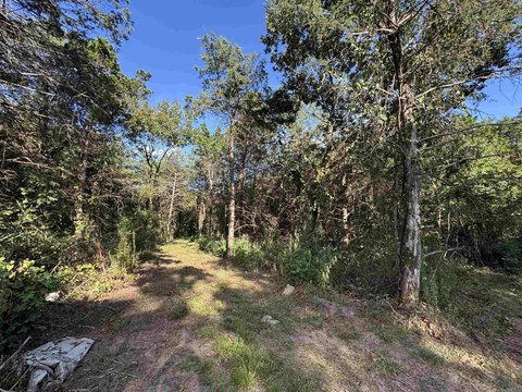 2.5 Acres of Forest Land
