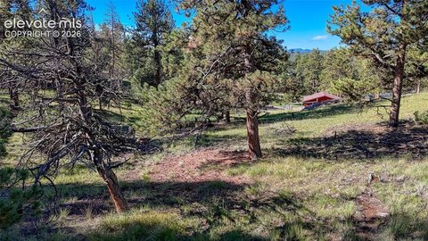 Land, Florissant, CO