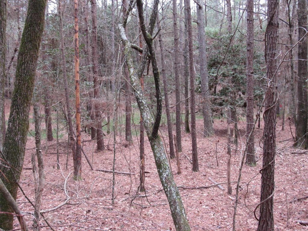 Picture 24