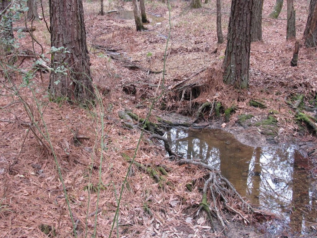 Picture 28