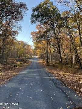 Flat Wooded Lot in Poconos
