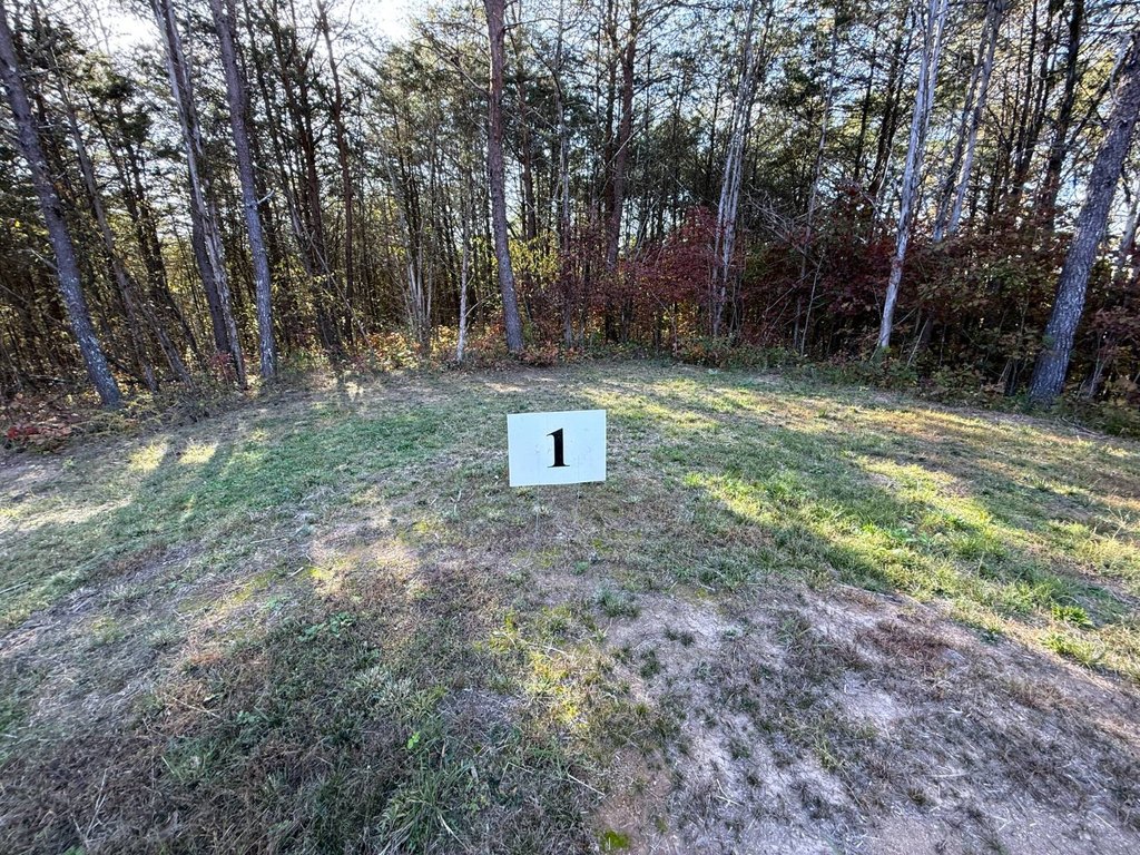 Picture 8