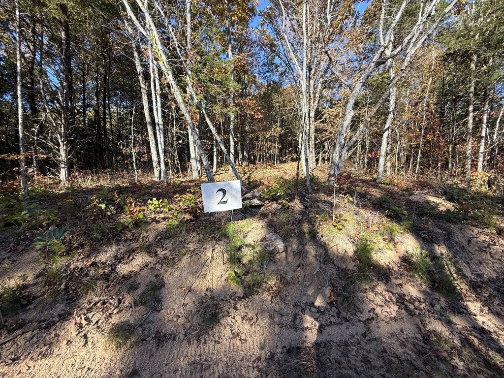 Picture 11
