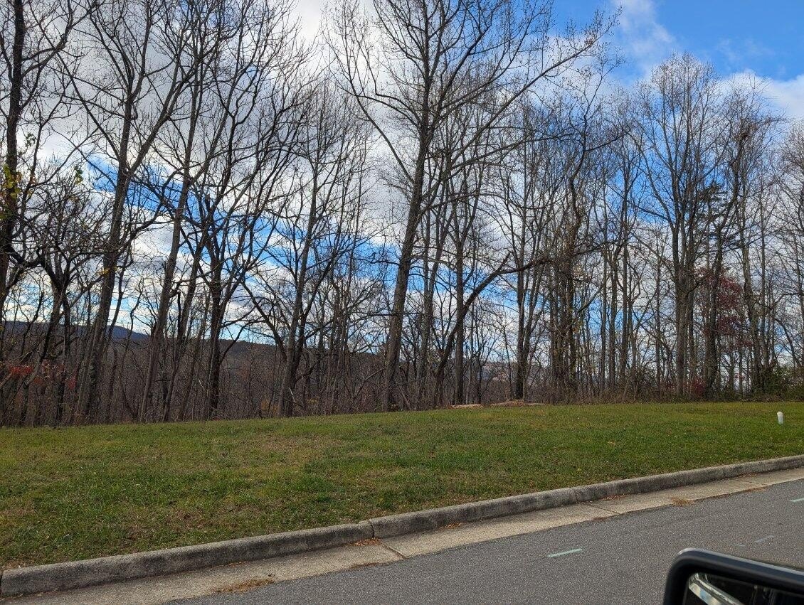 Wooded Lot in Vinton, VA