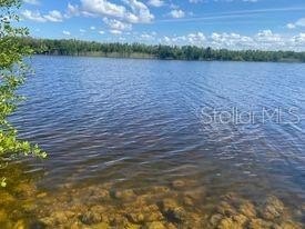 Picture 22
