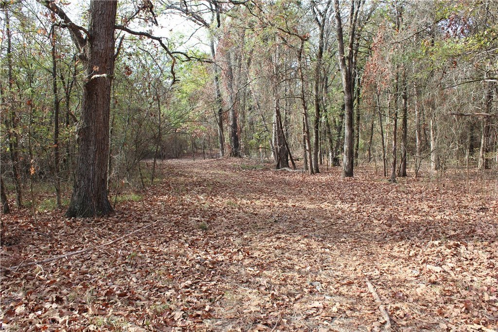 Picture 19
