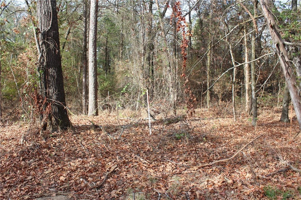 Picture 20