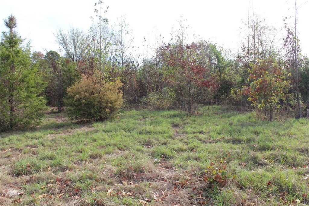 Picture 30