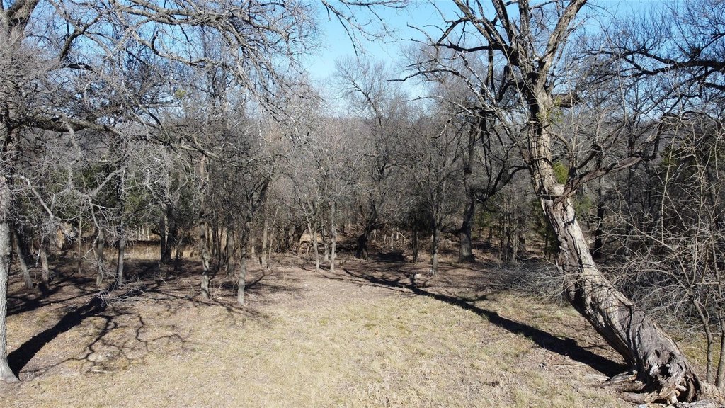 Picture 8