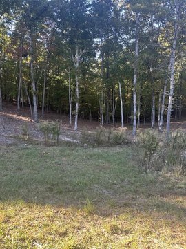 Residential Lot in Gated Subdivision