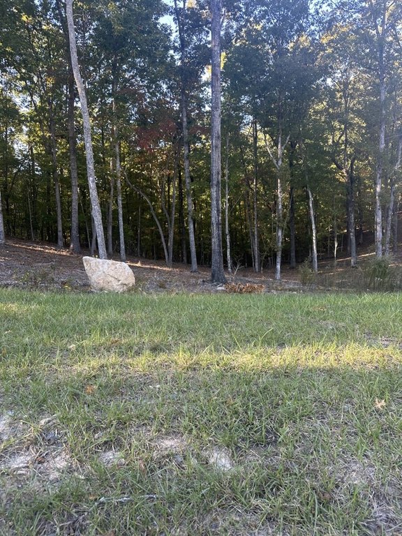 Picture 6
