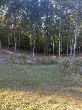 Residential Lot in Gated Subdivision