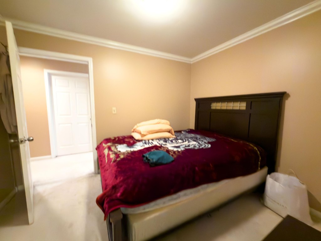 Picture 47