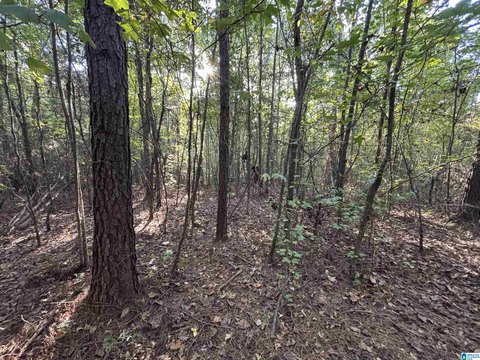 LAND/LOTS, ASHVILLE, AL