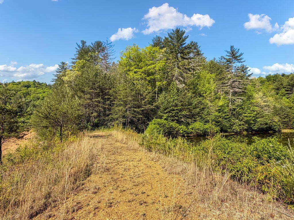 Picture 22