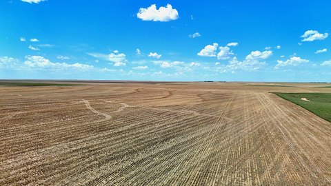Turn-Key Cropland with Hunting Potential